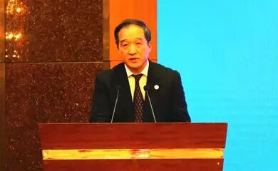 丁农-中远海运特种运输股份有限公司董事长介绍