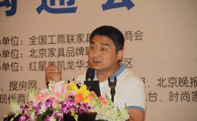 隋有彬-廊坊爱依瑞斯家具有限公司总经理介绍