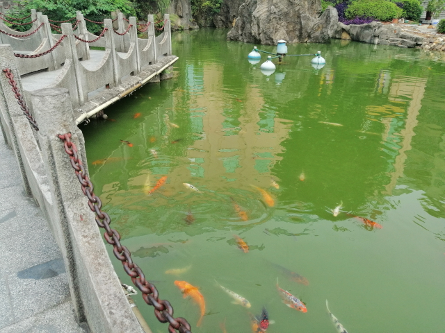 颜值与性能并存，还有AI四摄，华为麦芒7来了