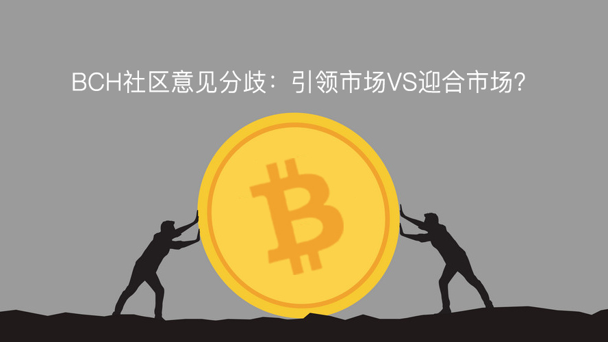 BCH社区意见分歧：引领市场VS迎合市场？