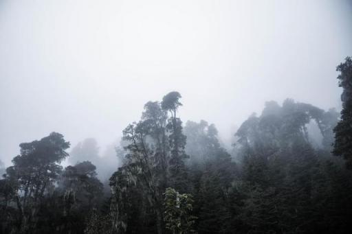 波涛？山路？风雨兼程，麦芒无惧挑战