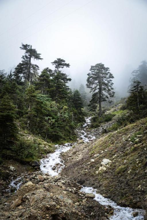 波涛？山路？风雨兼程，麦芒无惧挑战