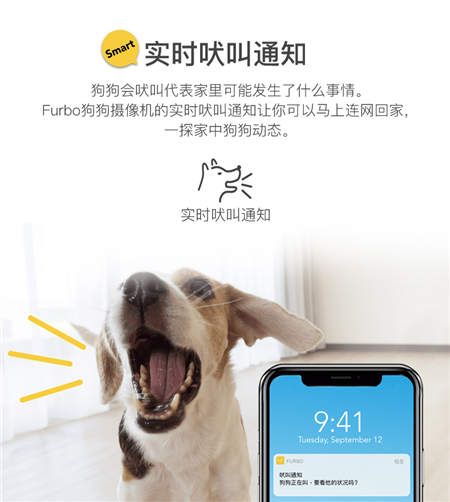 北美畅销的养狗神器Furbo正式入驻国内，开启智能养宠新时代