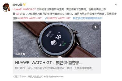 两周续航有口皆碑 华为WATCH GT预售火爆抢眼双11