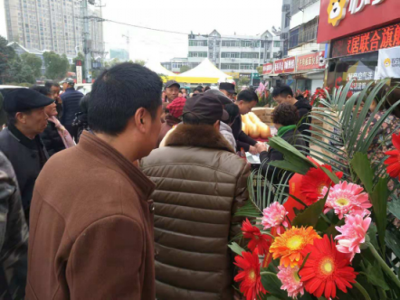 苏宁联手顾家，首家“全屋定制”智慧门店落地徐州大庙镇