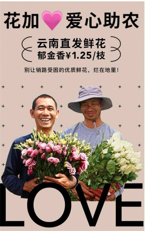 爱心助农，花加FLOWERPLUS的暖心之策