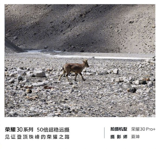 高人为峰，中国登山队冲顶成功，荣耀30系列50倍长焦见证珠峰新高度