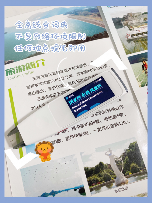 丁磊带货的有道词典笔，功能到底如何？看完糖猫词典笔才知道答案！