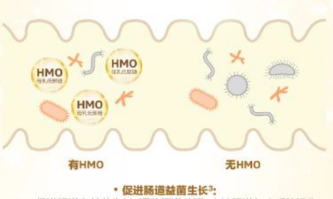 合生元HMO配方奶粉三大强化配方组合，建造更稳定的成长壁垒