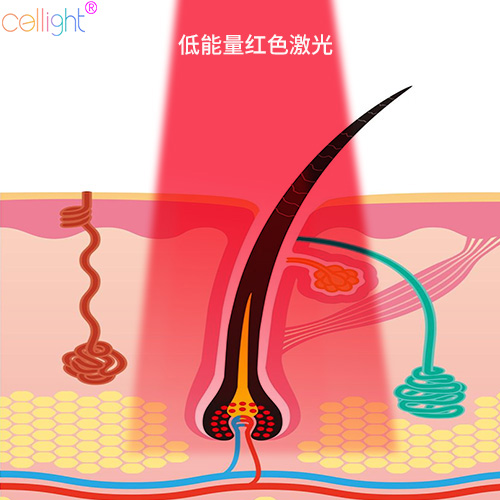 智能光谱推出止脱生发黑科技：cellight激光健发梳