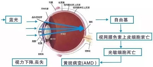 用海信阅读手机A5Pro 避免蓝光伤害健康护眼好读书