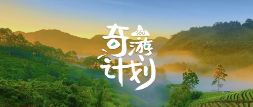 【旅游企业必看】360旅游行业助力计划来了!