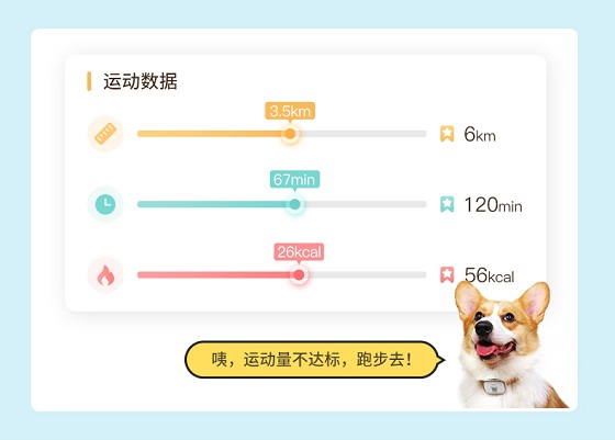 陪彼宠物定位器：《向往的生活》小H小O、锅碗瓢盆同款