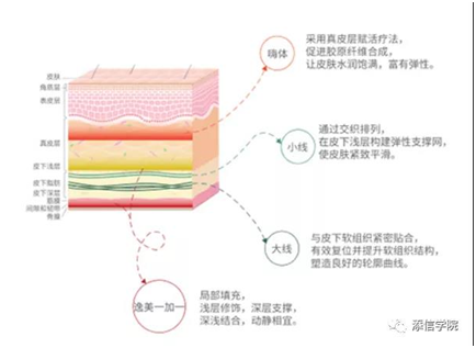 “医美之王”爱美客，能否超越600亿华熙生物?