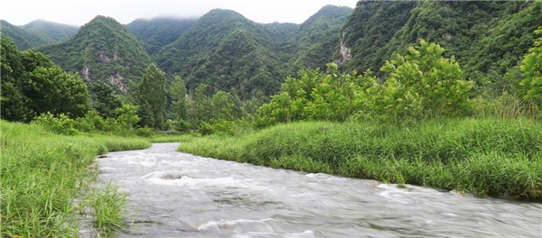 走进仲景宛西制药药材基地 探索“药材好，药才好”的秘密