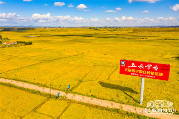 聚焦原产地，天猫将今年第一份“最好的大米”直达餐桌