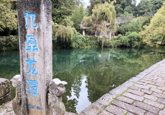 鸿文十大功勋人物云南游：不负韶华，荣耀出发