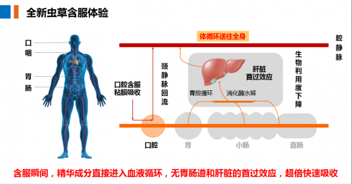 真正实现0重金属超标、0砷超标的东阳光冬虫夏草含片即将上市，或将掀起滋补新风尚