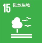 与环境共生 电装积极践行SDGs