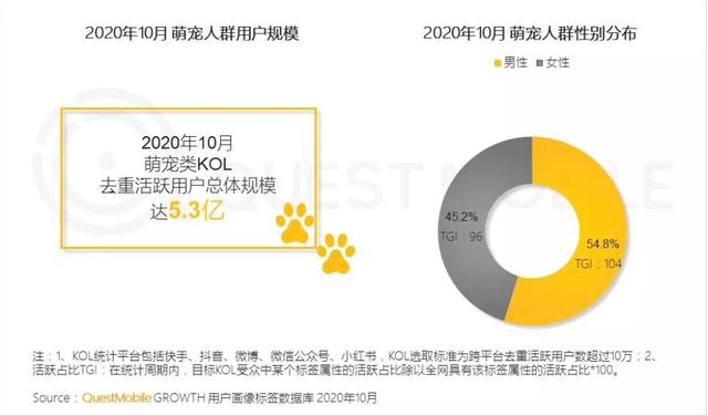 QuestMobile发布2020萌宠经济洞察报告，小象优品等电商宠物用品销量持续增长