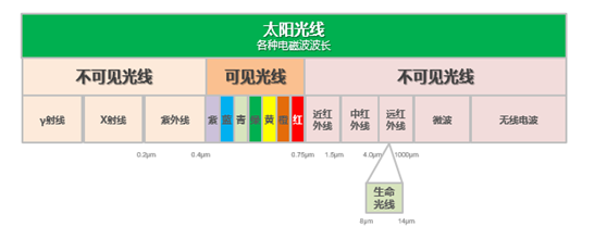 电饭煲只有日本的好？苏泊尔电饭煲更懂中国人的胃