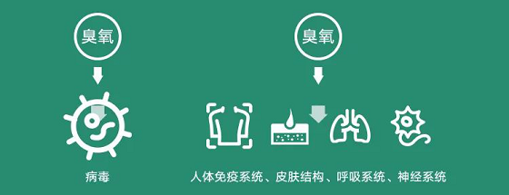 华为要卖空气了？坐在北京也能享受呼伦贝尔的清新