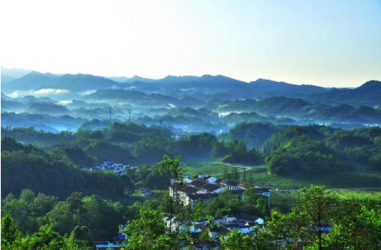 就地过年：这样过出新鲜感！