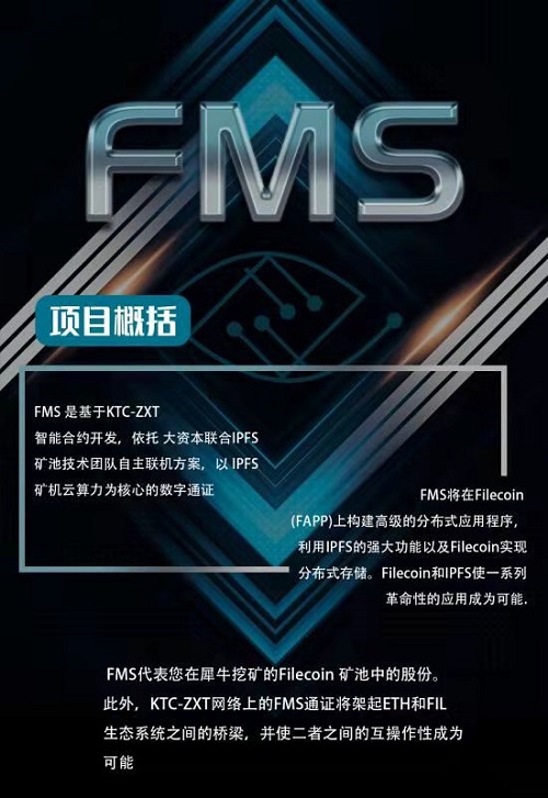 FMS多媒体系统
开发创新解决方案，打造新的全域互联网