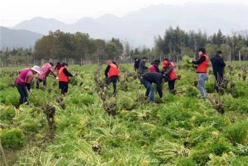 天天果农互联网精准扶贫，全方位多渠道爱心助农