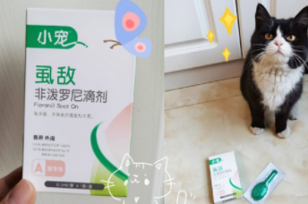 猫猫日常体外驱虫用虱敌 让猫猫远离疾病