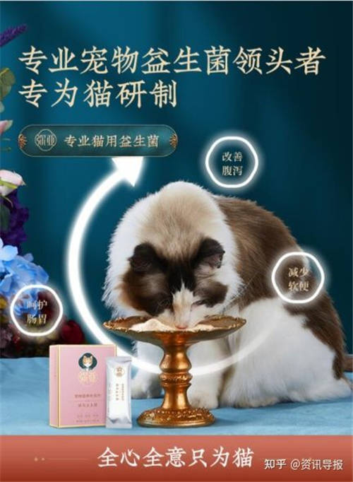 猫咪肠胃不好怎么办？就选弥亚猫用益生菌！