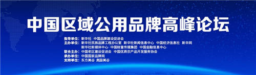 深圳法政信息应邀参加“励志100”2021中国品牌日系列活动并发表主题演讲