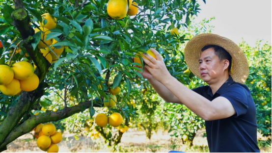 侠之大者 为国为民 长城皮卡就是这样的民族品牌