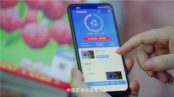 “中国区块链荔枝之乡”落地惠州镇隆，数字兴农再迎新范本
