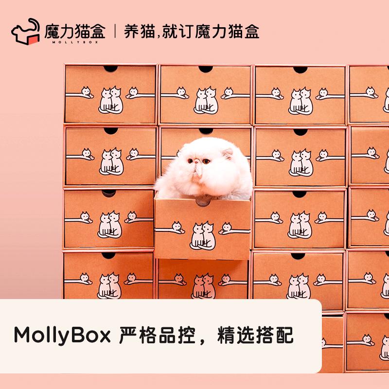 新锐品牌「MollyBox魔力猫盒」选择班牛，开启宠物产品零售新模式！