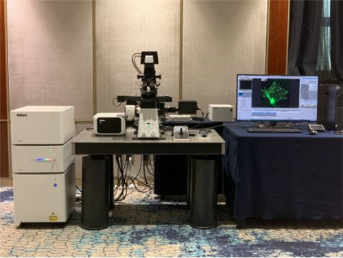 Nikon新一代共聚焦AX/AXR发布为高效科研赋能