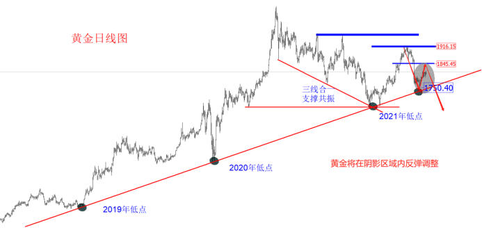 金十访谈间：7月22日领峰里昂老师，聚焦欧美缩表！