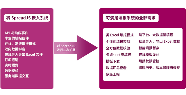 葡萄城SpreadJS表格技术帮助川大智胜完美解决纯前端定制难题