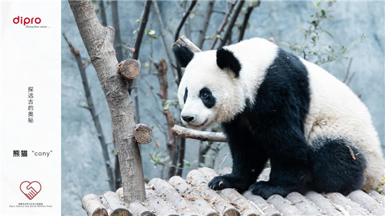 成人益生菌哪种好，跟我们一起走进迪辅乐