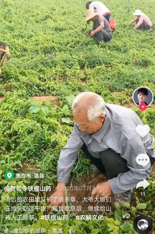 94年白领抖音电商卖山药日销万斤，他想和乡亲们走向共同富裕