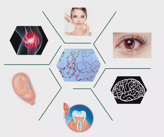 科技力重塑牙龈活力——华熙生物助力高露洁“刷”出新意