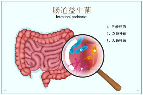 这么多益生菌品牌，选哪个牌子好