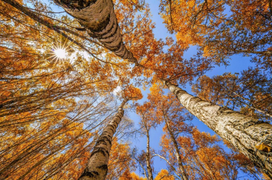 广纳世界 索尼FE 12-24mm F2.8GM 镜头解析