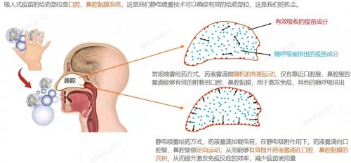 突破！我国云协同研发平台发布“吸入式疫苗靶向给药装置”