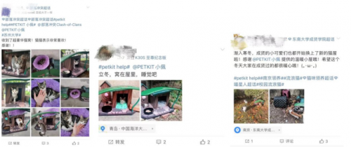 部落冲突联合PETKIT小佩安置高校流浪猫屋，呼吁保护流浪动物