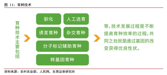 博众证券：种业，这个板块它来了！或将迎景气向上拐点！