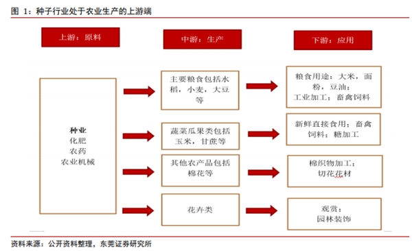 博众证券：种业，这个板块它来了！或将迎景气向上拐点！