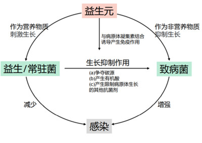 微生态护肤时代来临 华熙生物化妆品级原料新品Biobloom™出击新赛道