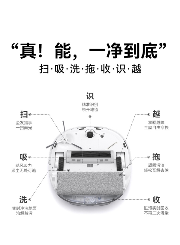 晓舞：从人类起源到未来智能生活，解放双手才是硬道理