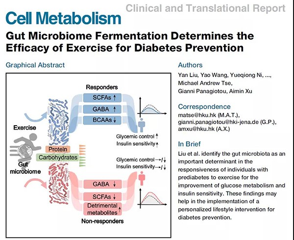动一动血糖好？不一定，还得解决糖尿病肠道菌群失衡
